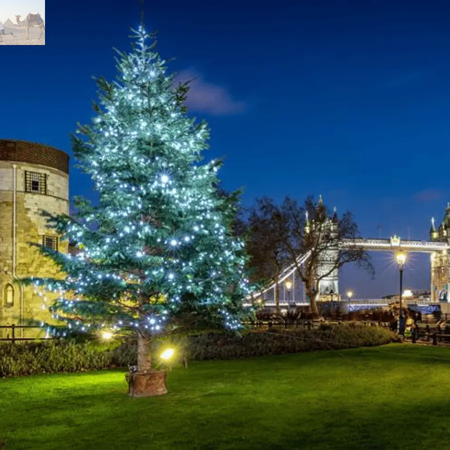 London Christmas Lights Bus Tour With Live Guide 