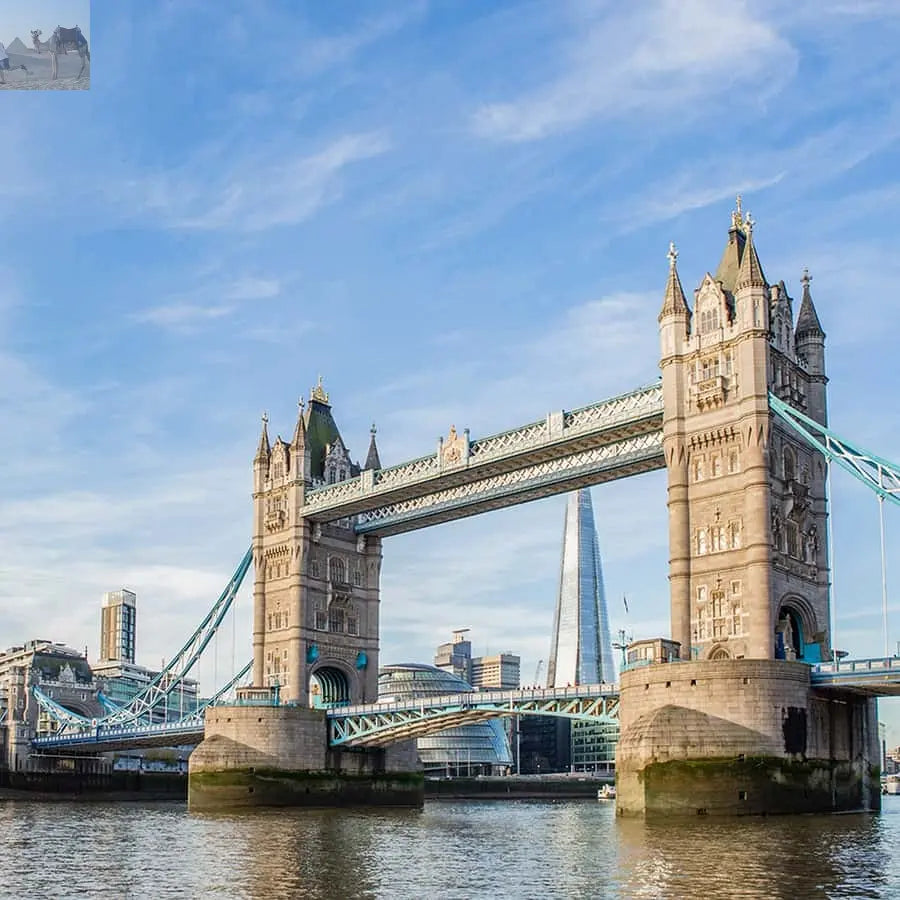 London Tower Bridge Entry Ticket