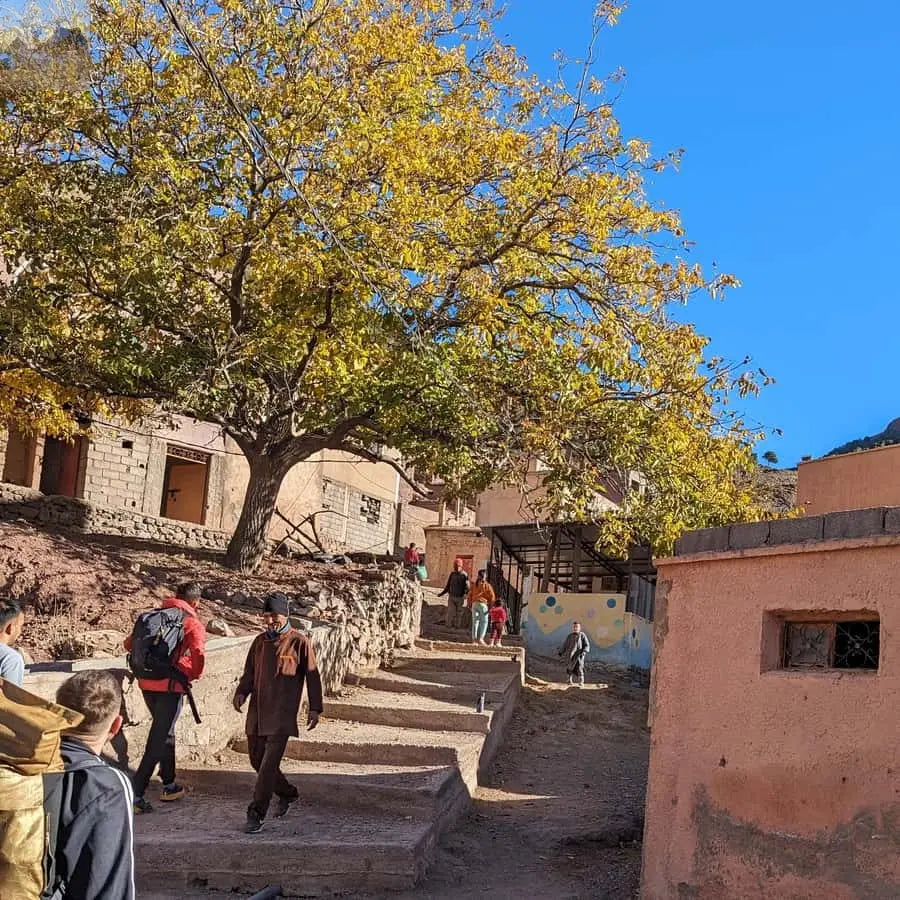 Marrakech 2 Day Atlas Mountains Trek with Village Stay 