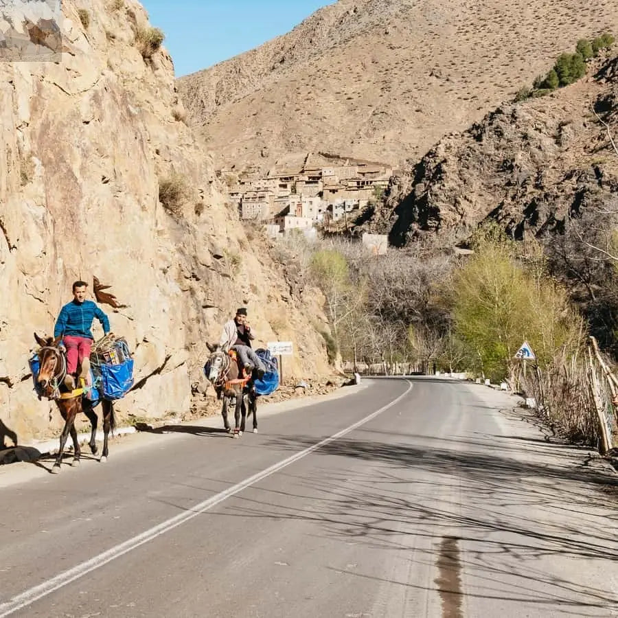 Marrakech 2 Day Atlas Mountains Trek with Village Stay 