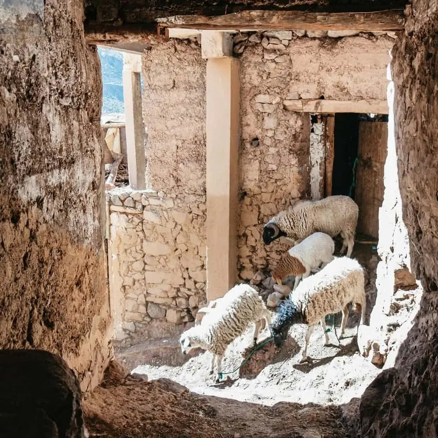 Marrakech 2 Day Atlas Mountains Trek with Village Stay 