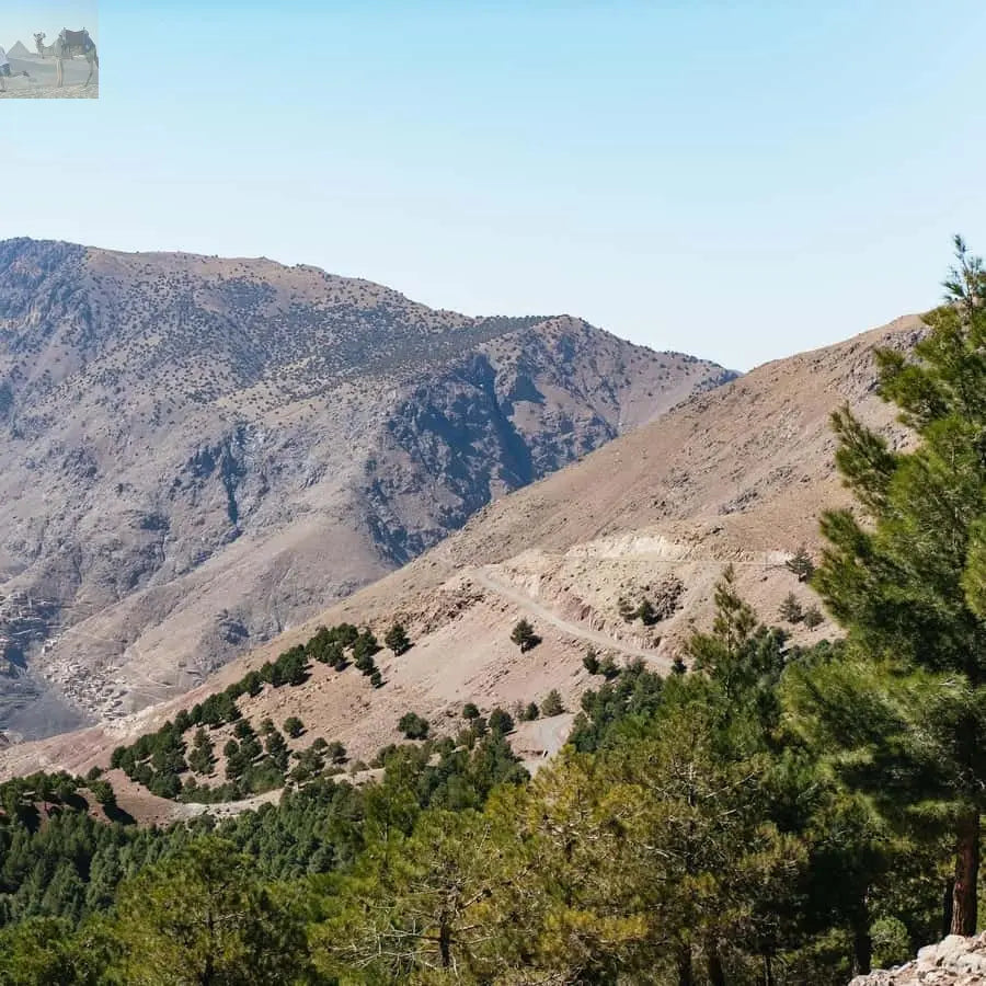 Marrakech 2 Day Atlas Mountains Trek with Village Stay 