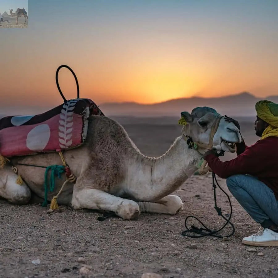 Marrakech Agafay Desert Magical Overnight with Dinner Show 