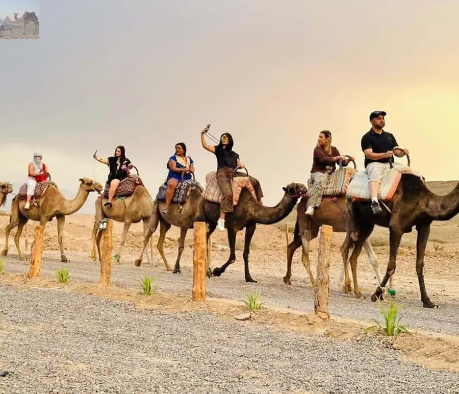 Marrakech Agafay Desert Quad & Camel Rides with Dinner Show 