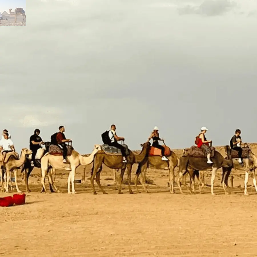 Marrakech Agafay Desert Quad & Camel Rides with Dinner Show 