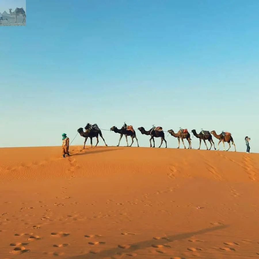 Marrakech Camel Sandboarding 3 day Merzouga Desert Tour