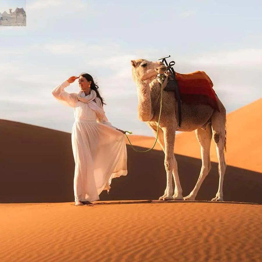 Marrakech Camel Sandboarding 3 day Merzouga Desert Tour 