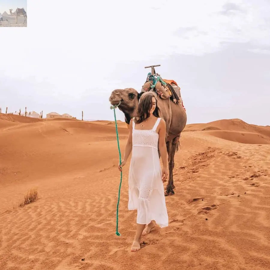 Marrakech Camel Sandboarding 3 day Merzouga Desert Tour 