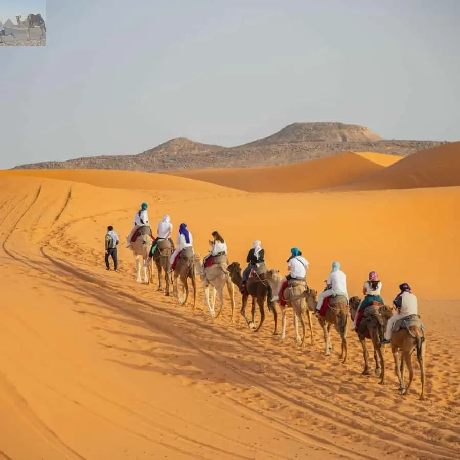 Marrakech Camel Sandboarding 3 day Merzouga Desert Tour 