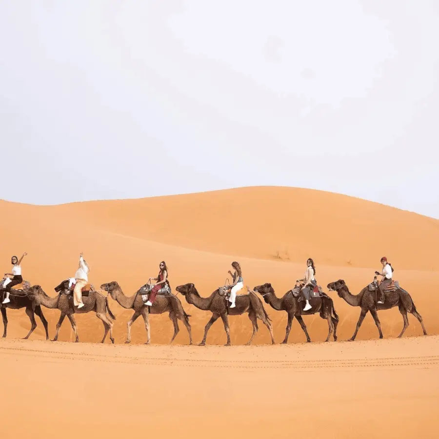 From Marrakech Unforgettable 3 Day Desert Tour to Fes 