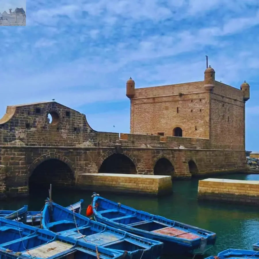 Marrakesh Essaouira & Sekkala Guided Tour with Lunch