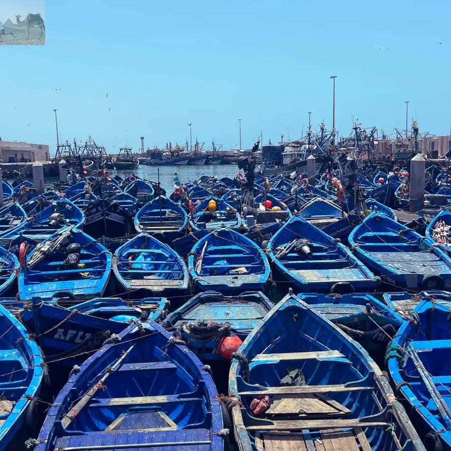 Marrakesh Essaouira & Sekkala Guided Tour with Lunch 