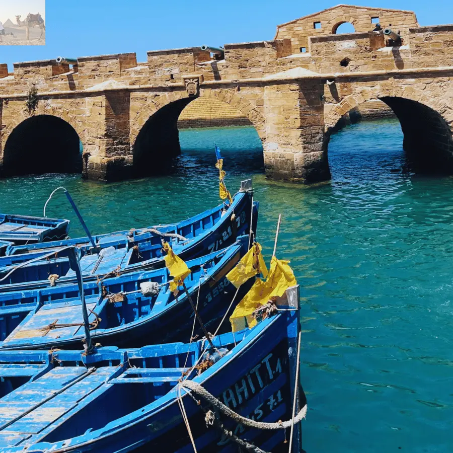 Marrakesh Essaouira & Sekkala Guided Tour with Lunch 
