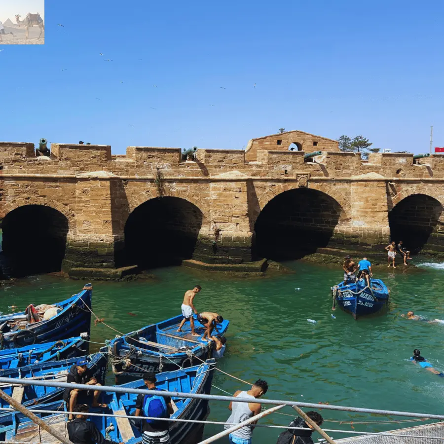 Marrakesh Essaouira & Sekkala Guided Tour with Lunch 