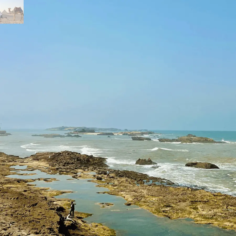 Marrakesh Essaouira & Sekkala Guided Tour with Lunch 