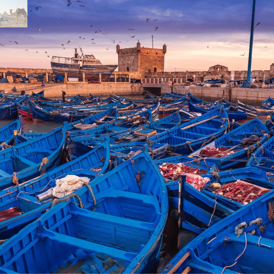 Marrakesh Essaouira & Sekkala Guided Tour with Lunch 