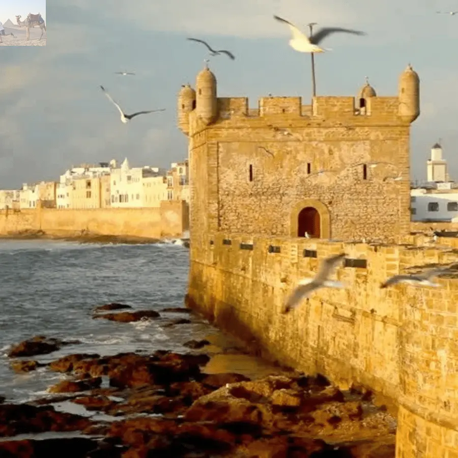 Marrakesh Essaouira & Sekkala Guided Tour with Lunch 