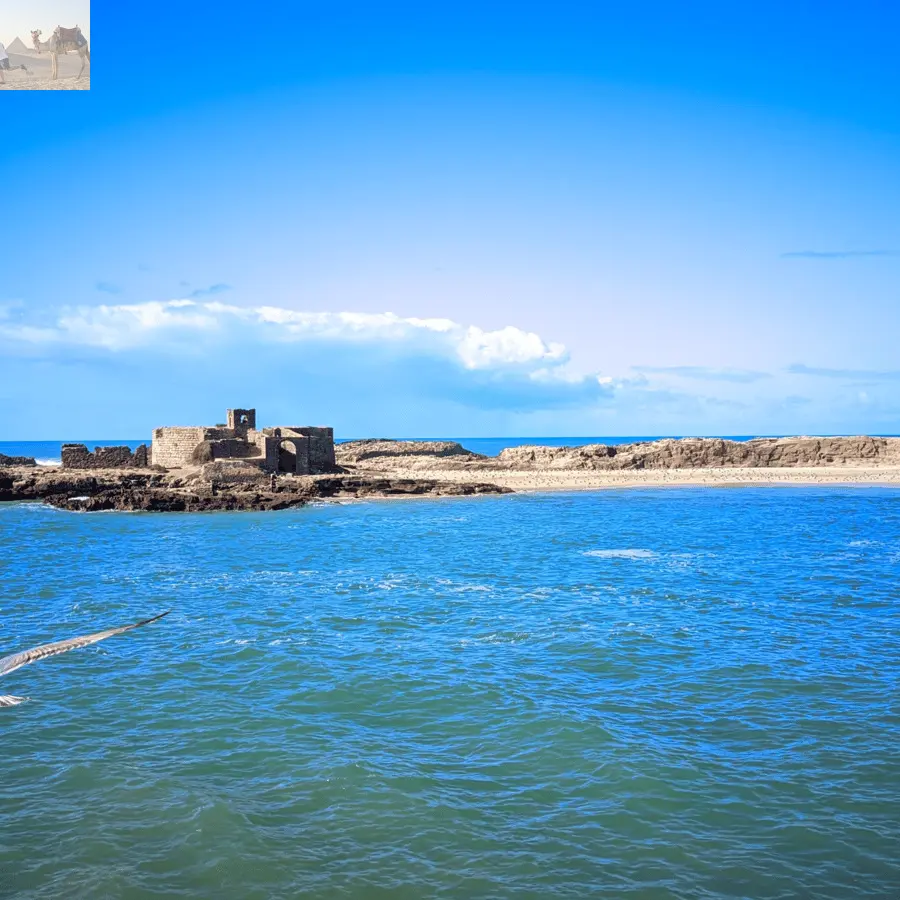 Marrakesh Essaouira & Sekkala Guided Tour with Lunch 