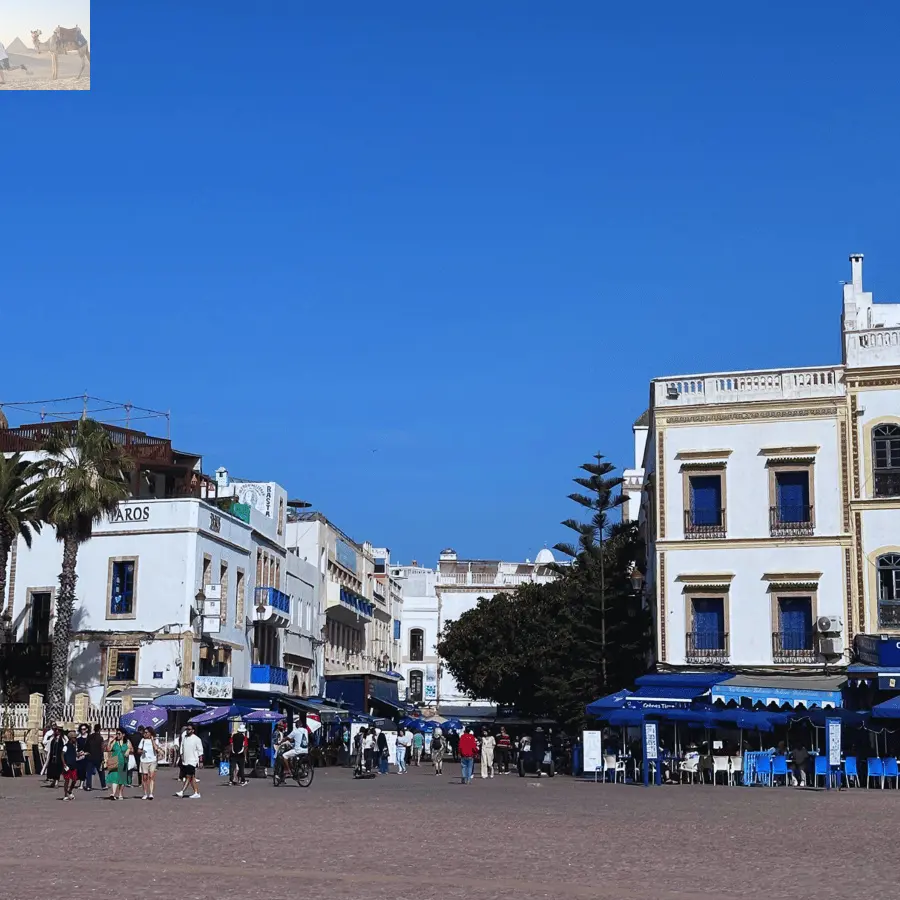 Marrakesh Essaouira & Sekkala Guided Tour with Lunch 