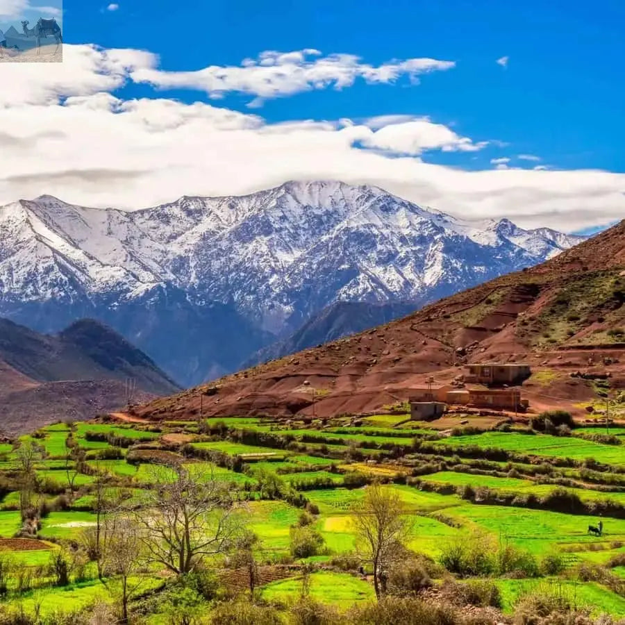 Marrakesh Ourika Waterfalls Atlas Mountains Guide 