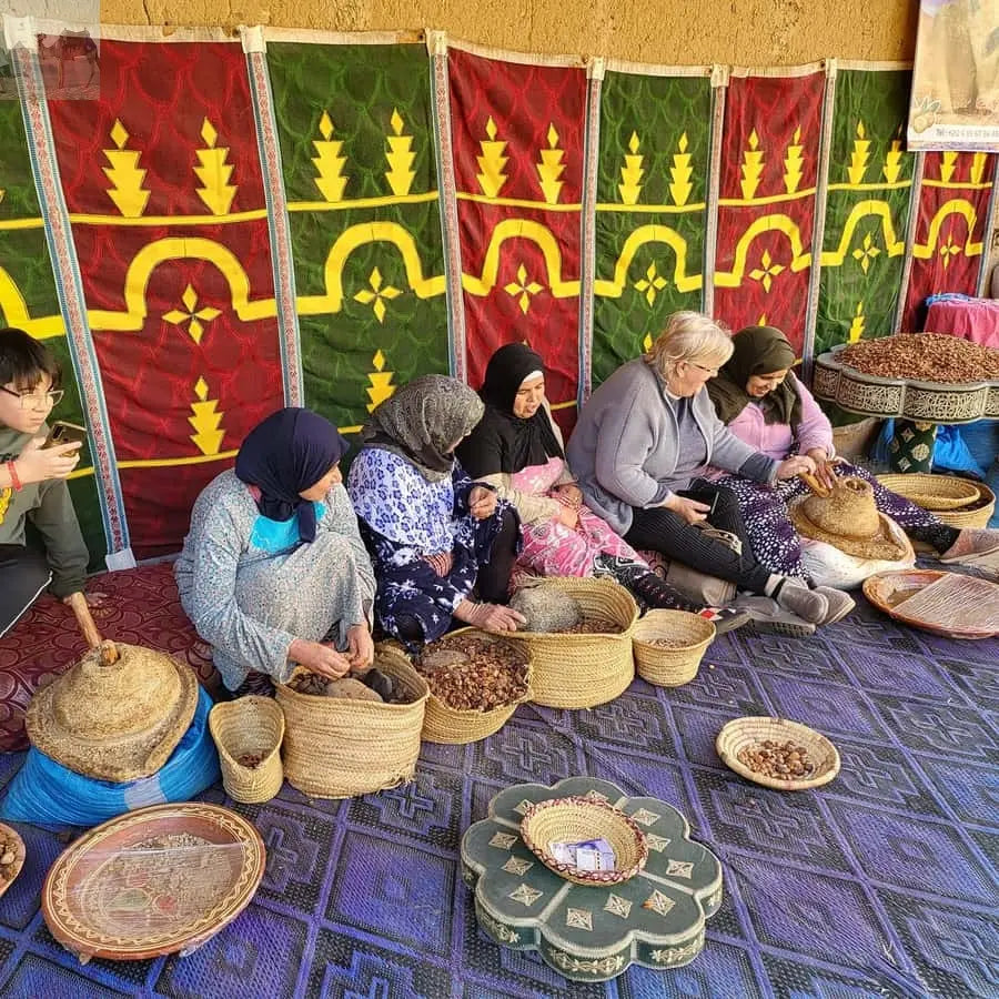 Marrakesh Ourika Waterfalls Atlas Mountains Guide 