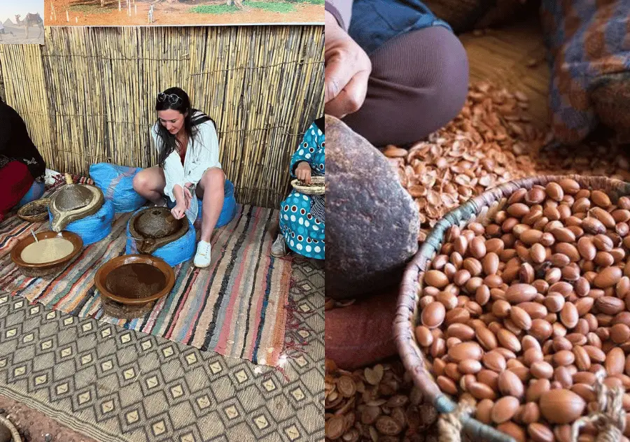 Marrakesh Ourika Waterfalls Atlas Mountains Guide 