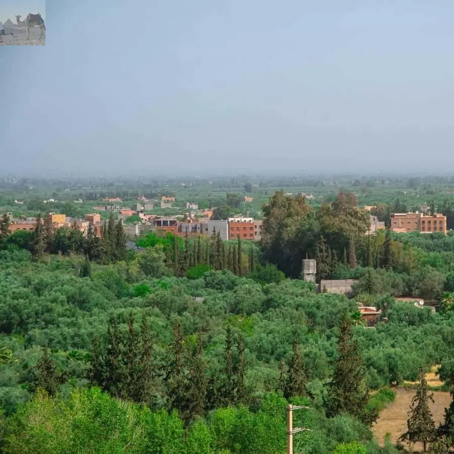 Marrakesh Ourika Waterfalls Atlas Mountains Guide 