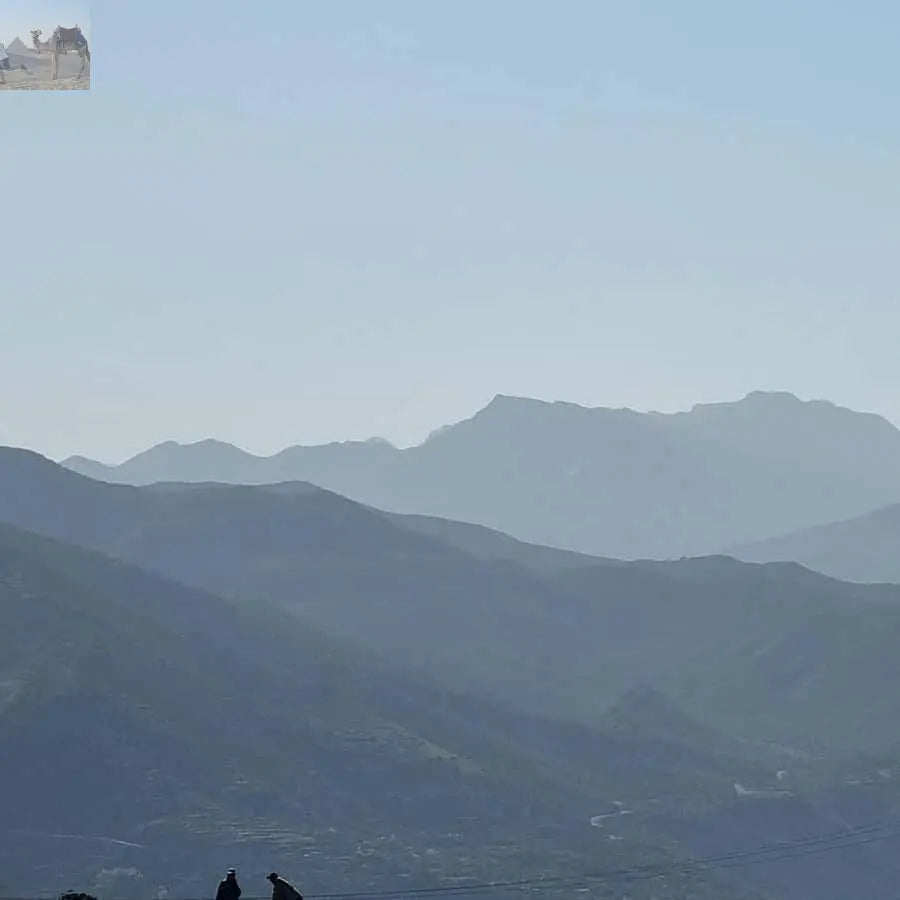 Marrakesh Ourika Waterfalls Atlas Mountains Guide 