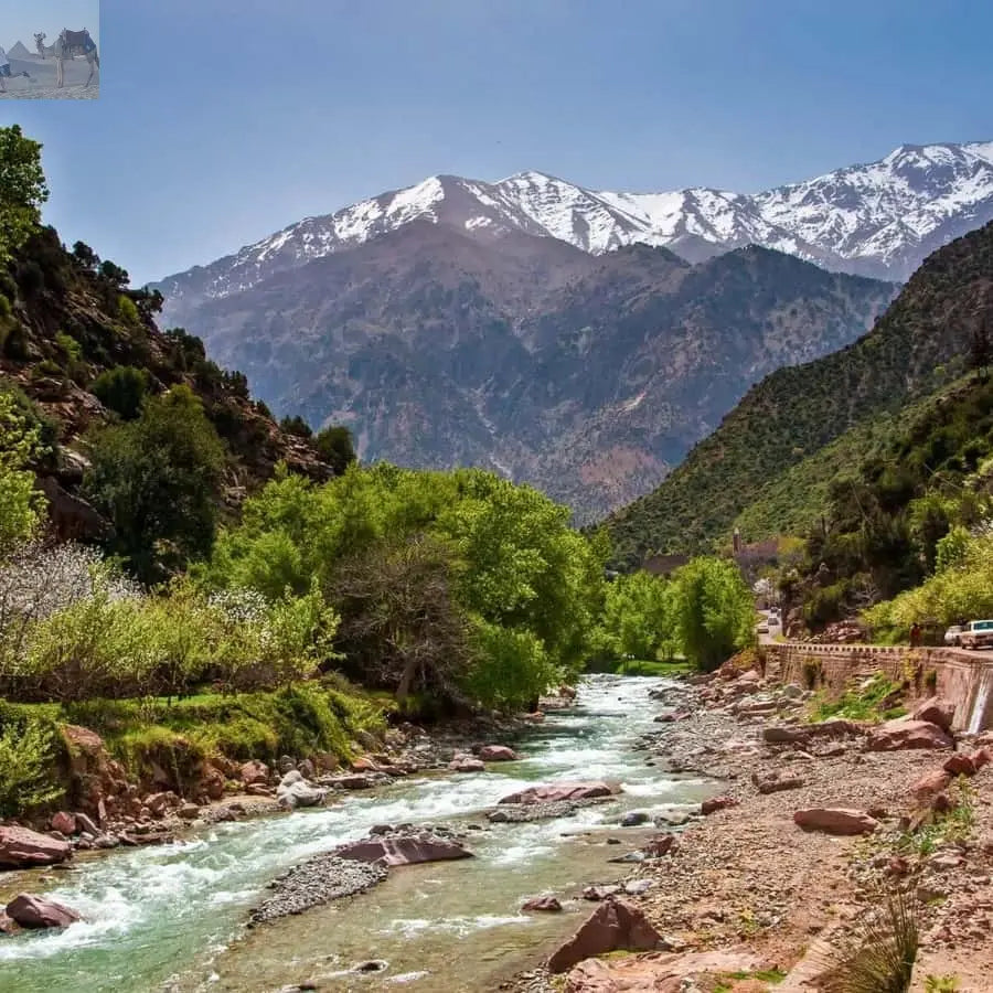Marrakesh Ourika Waterfalls Atlas Mountains Guide 