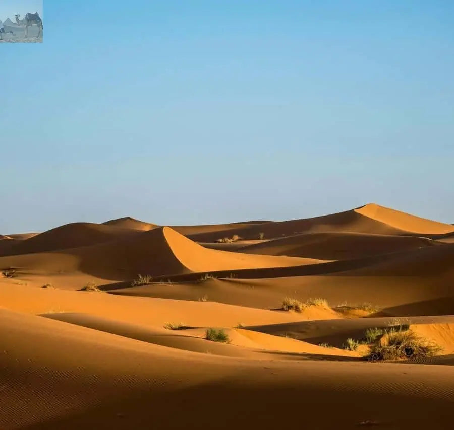 Merzouga 4x4 Desert Tours & Excursions 
