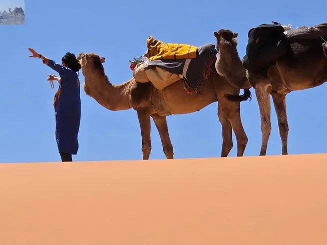 Merzouga Morocco Sahara desert yoga 
