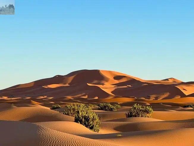 Merzouga Morocco Sahara desert yoga 