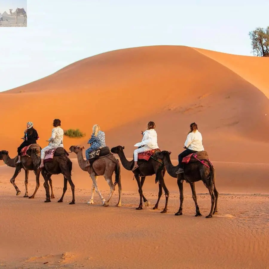 Merzouga Overnight in Luxury Camp with Camel Ride & Dinner