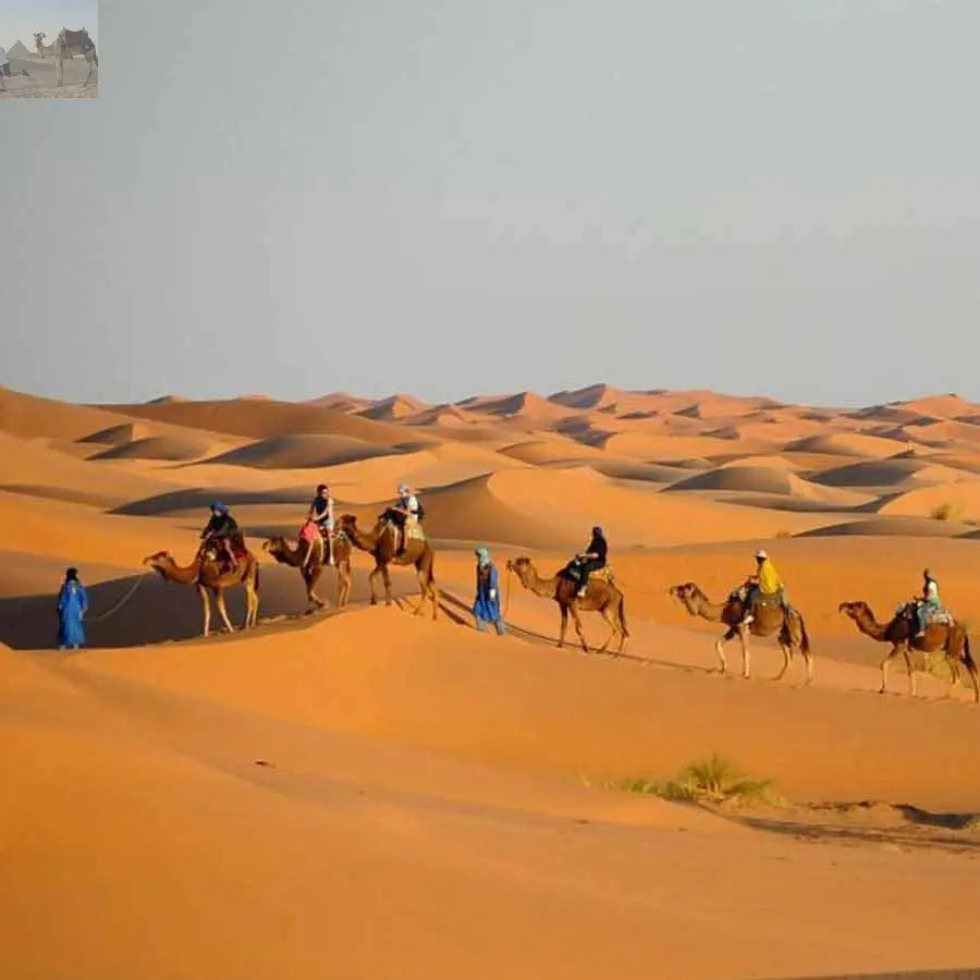 Merzouga Overnight in Luxury Camp with Camel Ride & Dinner 