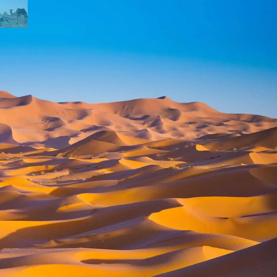 Merzouga Overnight in Luxury Camp with Camel Ride & Dinner 