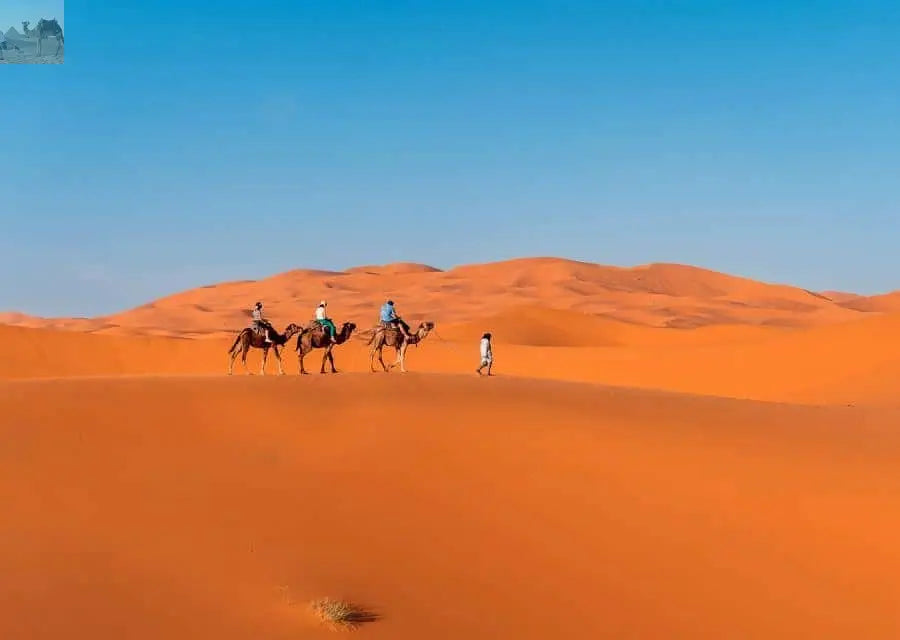 Merzouga Overnight in Luxury Camp with Camel Ride & Dinner 