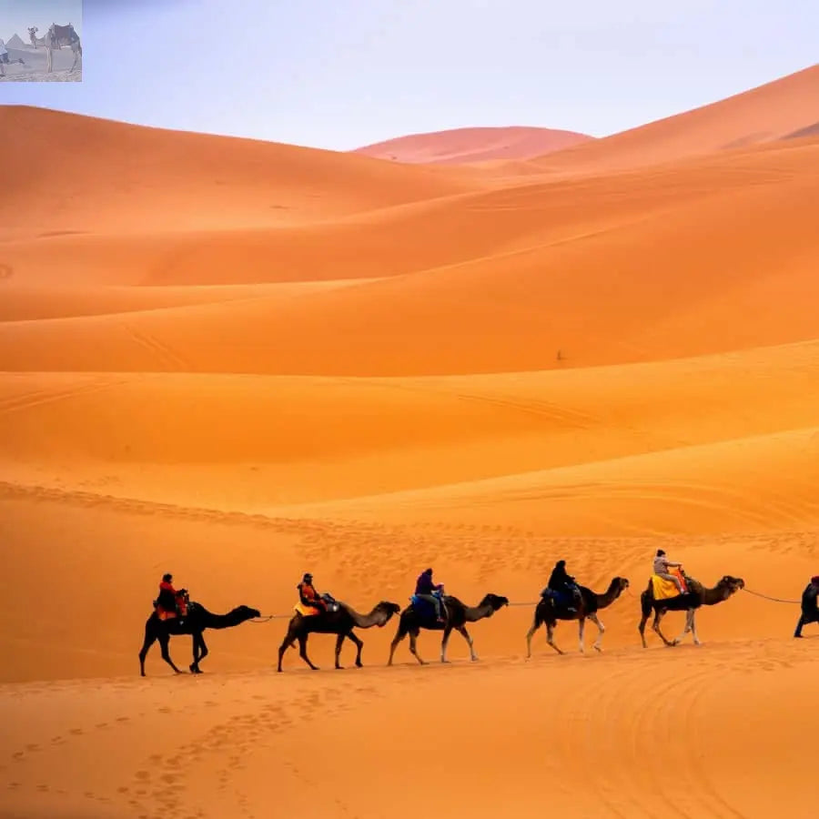 Merzouga Overnight in Luxury Camp with Camel Ride & Dinner 