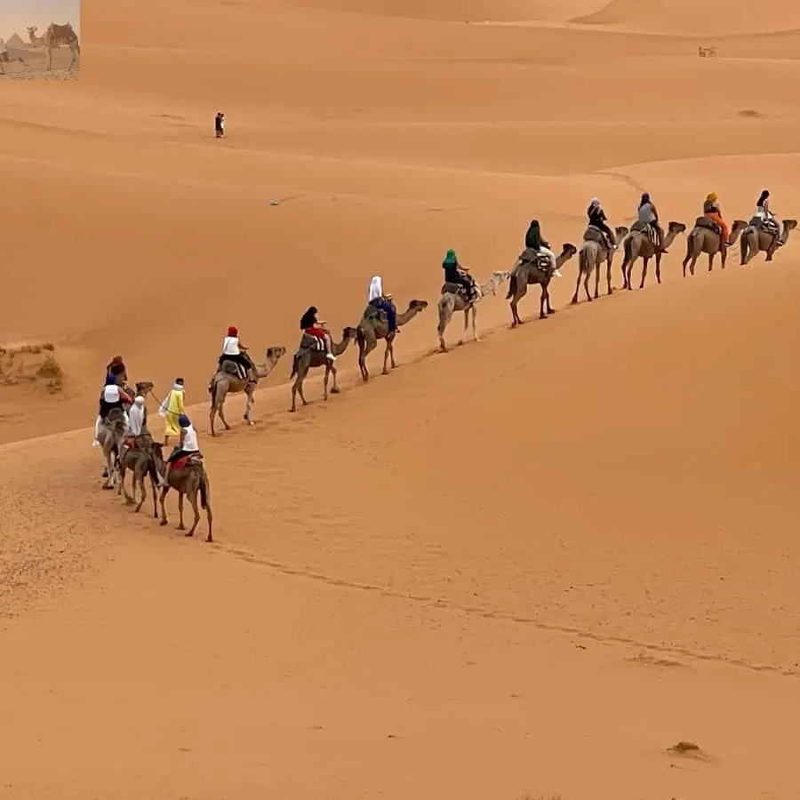 Merzouga Overnight in Luxury Camp with Camel Ride & Dinner 