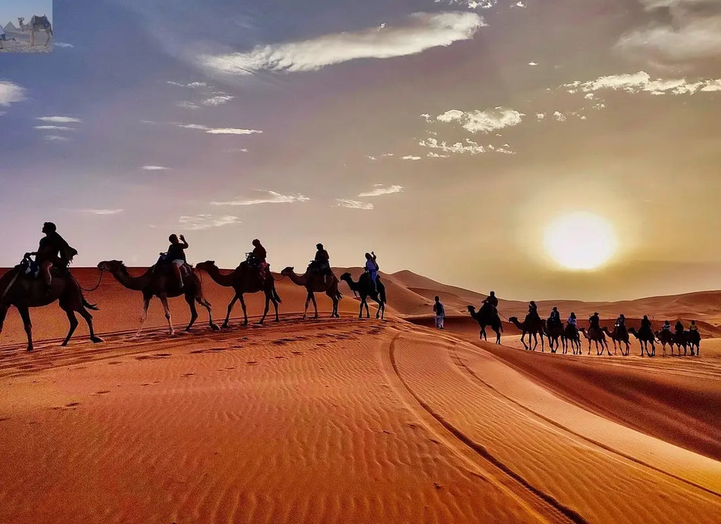 Merzouga camel trekking for sunset 