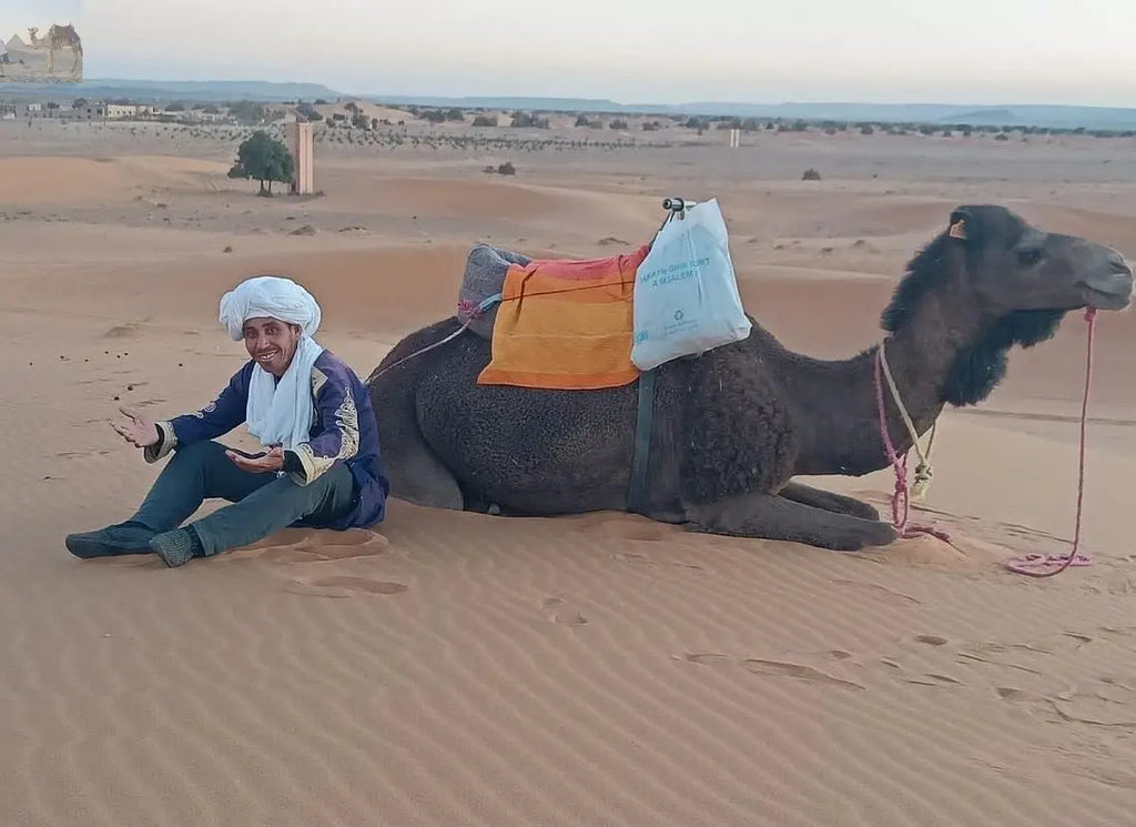 Merzouga camel trekking for sunset 