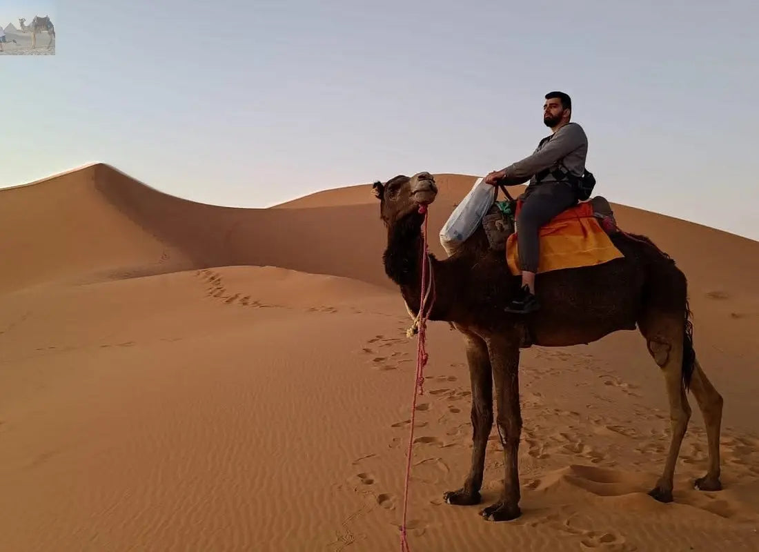 Merzouga camel trekking for sunset 