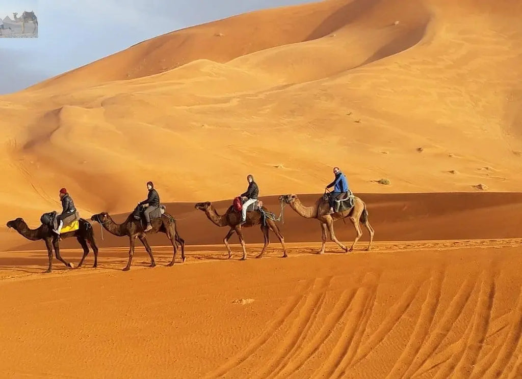 Merzouga camel trekking for sunset 
