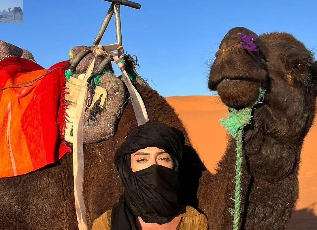 Merzouga camel trekking for sunset 