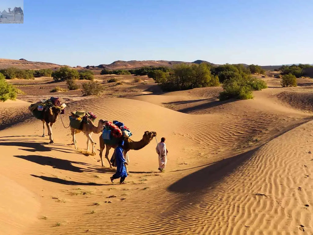 Merzouga erg Chebbi hiking for 2 or 3 days 