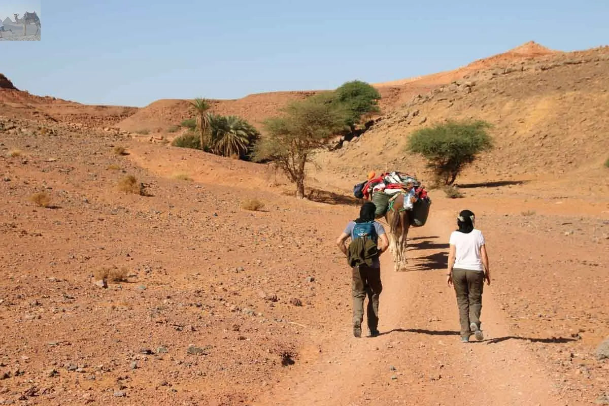 Merzouga erg Chebbi hiking for 2 or 3 days 