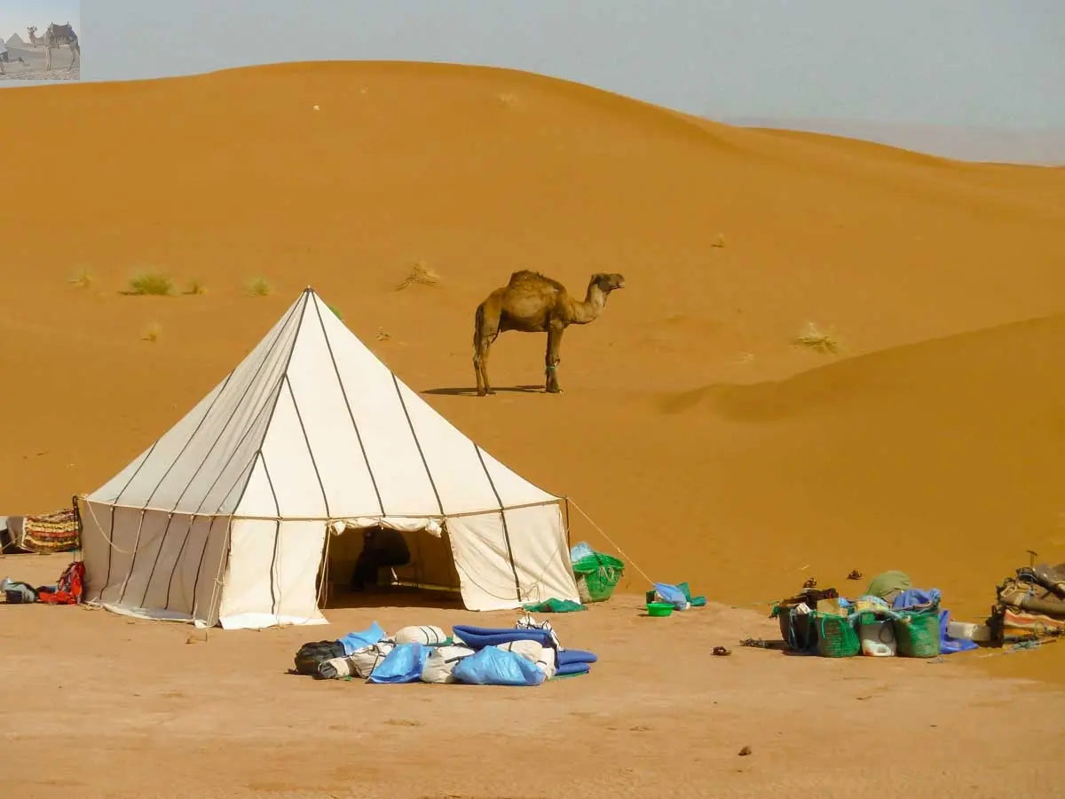 Merzouga erg Chebbi hiking for 2 or 3 days 