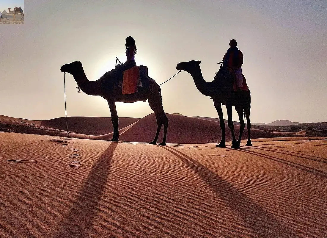 Merzouga sunrise camel trekking 