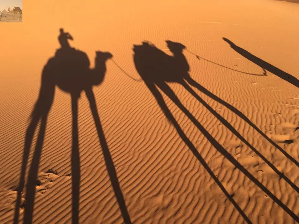 Merzouga sunrise camel trekking activités&nbsp; 