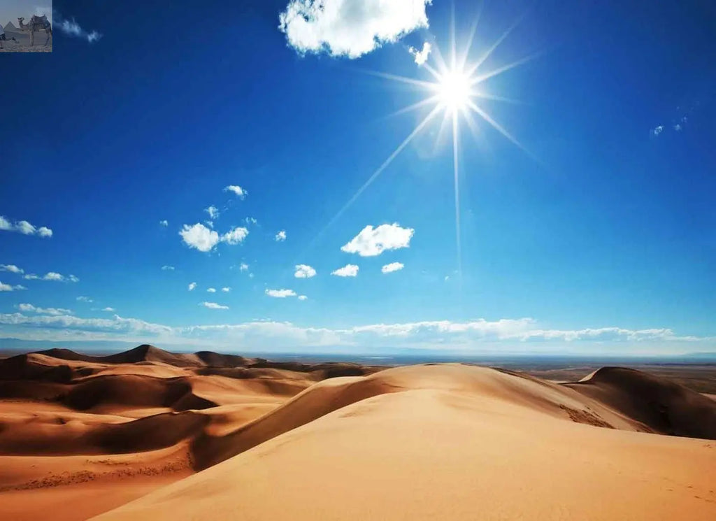 Merzouga sunrise camel trekking activités&nbsp; 