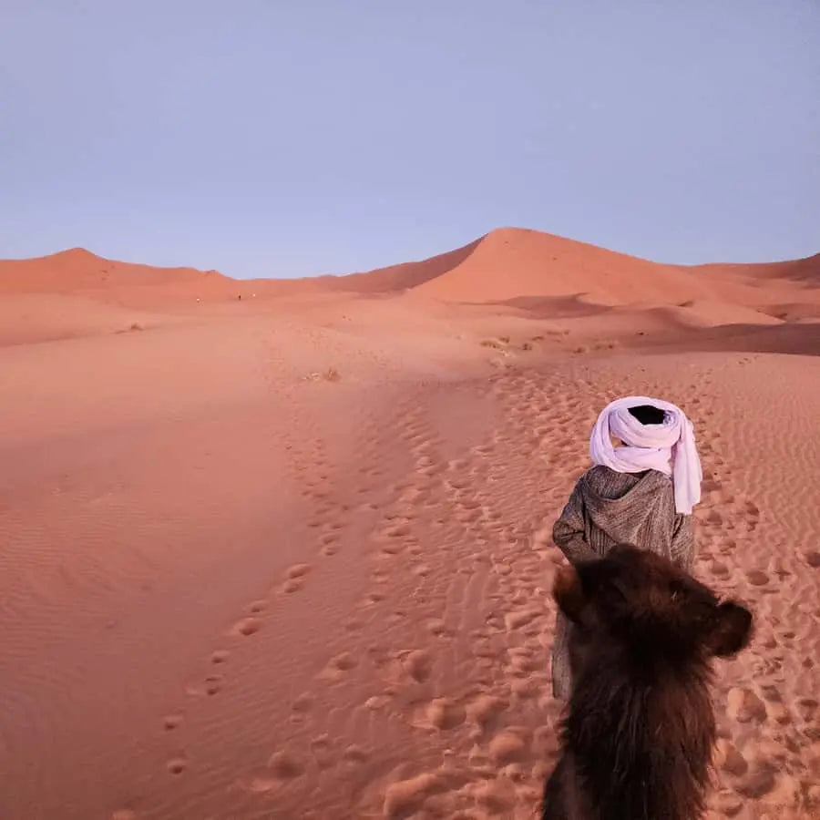 From Marrakech Merzouga 4 Day Luxury Tour w Optional Quad 